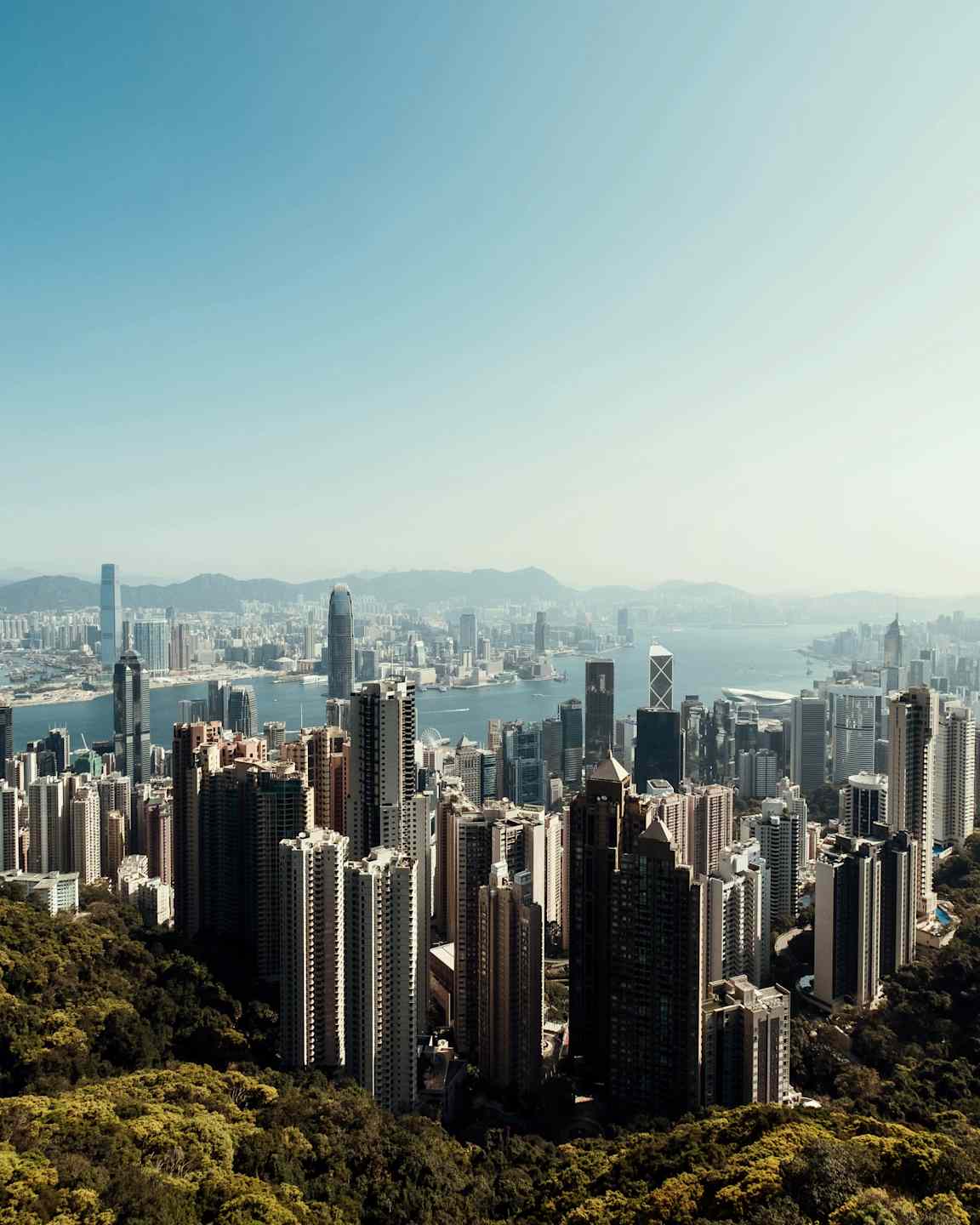 Utsikt över en stad med många skyskrapor omgiven av skog och berg med en flod i bakgrunden. (AI-genererad text)