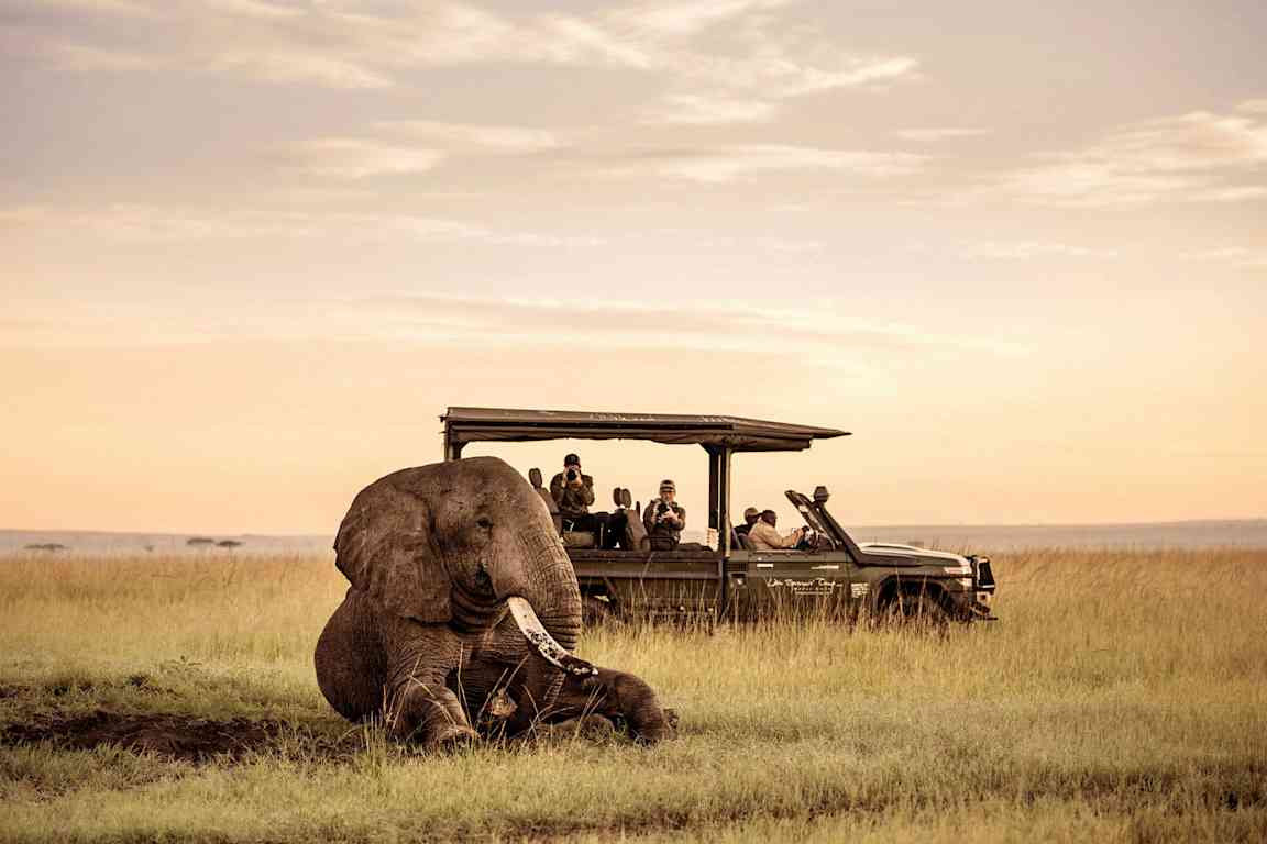 En elefant sitter i gräset nära en safaribil. (AI-genererad text)
