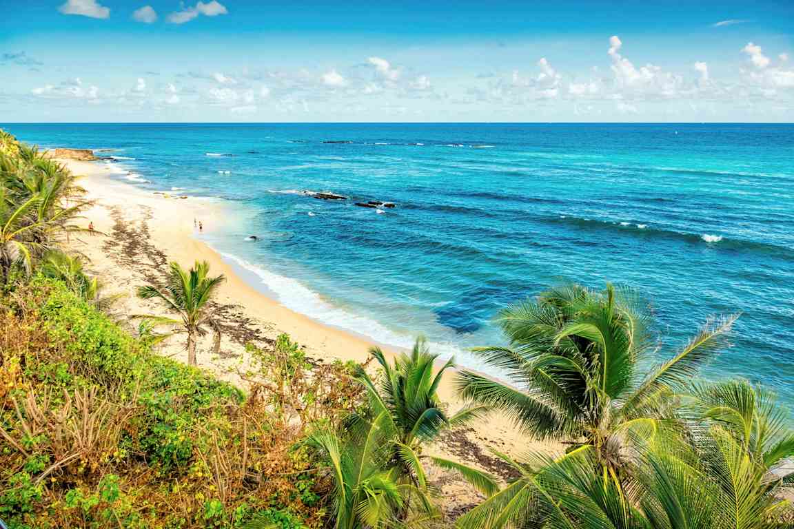 En tropisk strand med palmer och blått hav. (AI-genererad text)