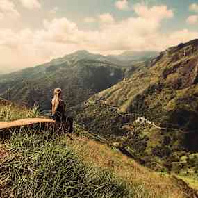 Person sitter på en träbänk och tittar ut över en grön bergig dal. (AI-genererad text)