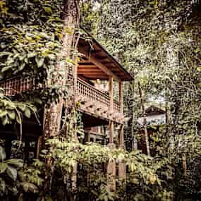 Rainforest Villa