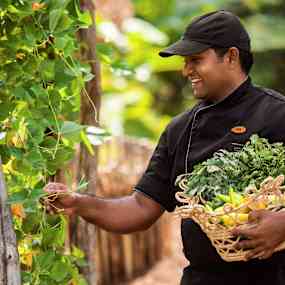 Person som håller i en korg med grönsaker och örter, framför en växtlig bakgrund. (AI-genererad text)