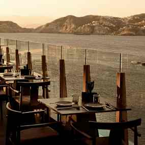 UMI Restaurant