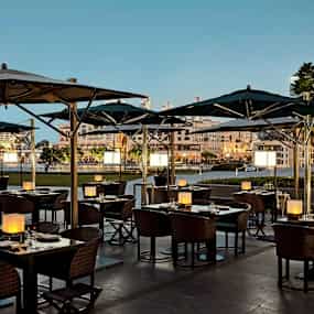 Armani/Hashi
