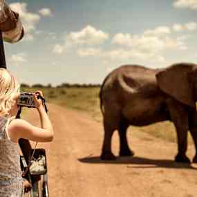 En person fotar en elefant från en bil. (AI-genererad text)