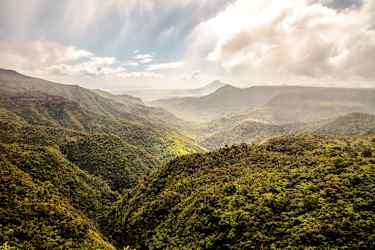 Black River Gorges National Park