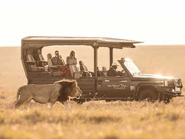 Game Drive på Little Governors