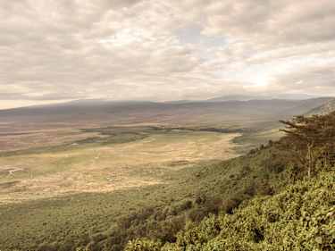 Game Drive i Ngorongorokratern
