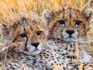 Wilderness Wumbura Plains