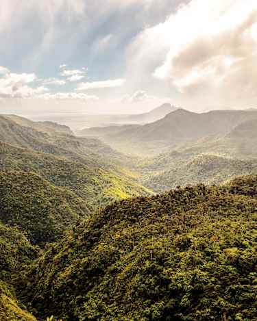 Black River Gorges National Park