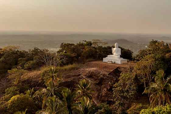Stor staty av Buddha på en platå omgiven av grönskande landskap med skog och palmer. (AI-genererad text)