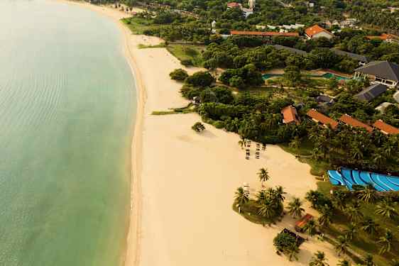 Luftvy av en sandstrand med palmer och byggnader vid kusten. (AI-genererad text)