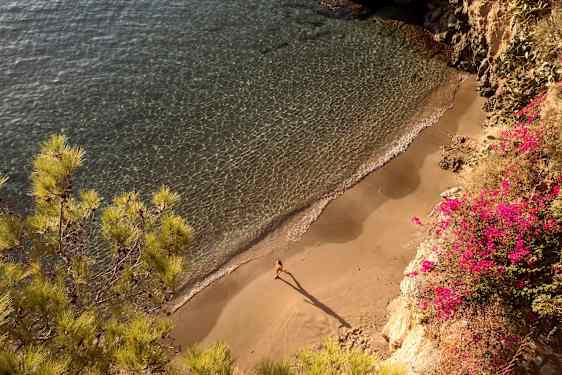 Utsikt över en liten strand med klart vatten, sand och en person som går. Färgglada blommor och växter syns vid sidan av stranden. (AI-genererad text)