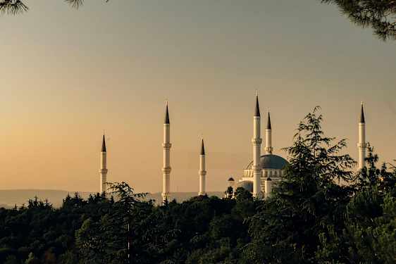En stor moské med flera minareter syns bakom träden under en klar himmel. (AI-genererad text)