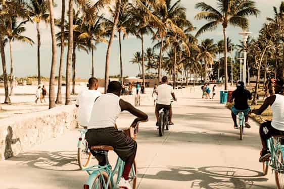 Personer cyklar på en strandpromenad omgiven av palmer. (AI-genererad text)