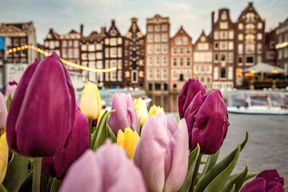 Amsterdam, Nederländerna