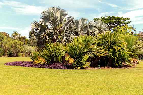 FAirchild Tropical Botanical Garden