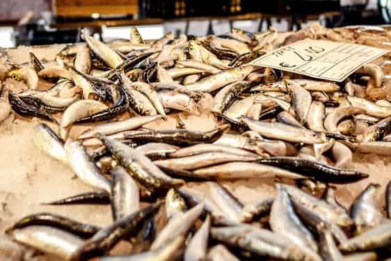 Fiskmarknad i Venedig