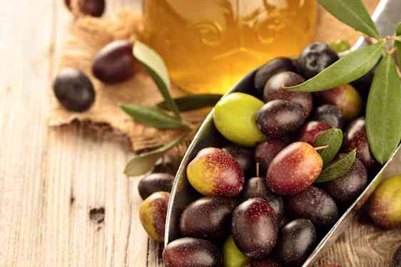 Olivolja och oliver