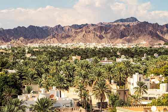Nizwa Palm Groove, Oman