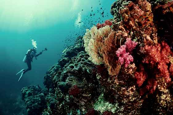 Dykning vid Similian Islands