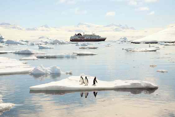 Pingviner på ett isblock