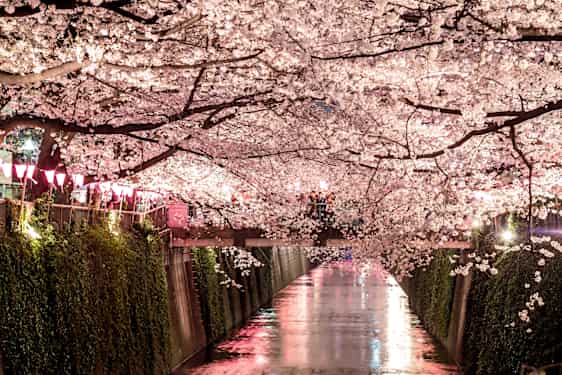 Nakameguro i Tokyo