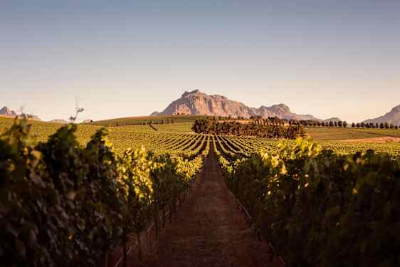 Landskap i Kapstaden