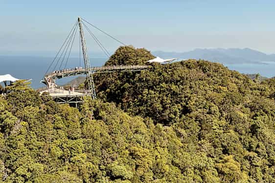 Tree top walk