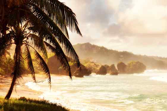 Bathsheba Beach