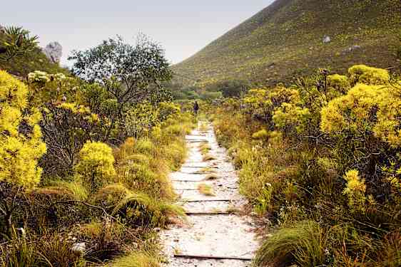 Naturreservatet Fernkloof