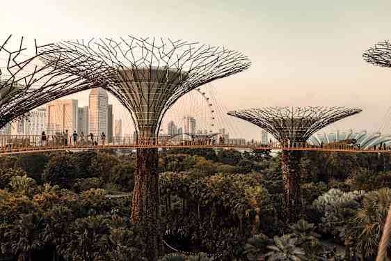 The green city singapore