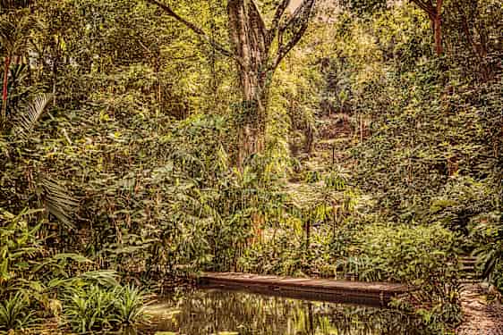 Tropical Spice Garden, Penang
