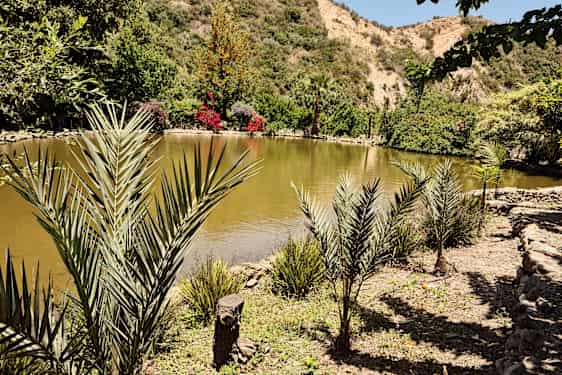 Botanisk trädgård på Kreta
