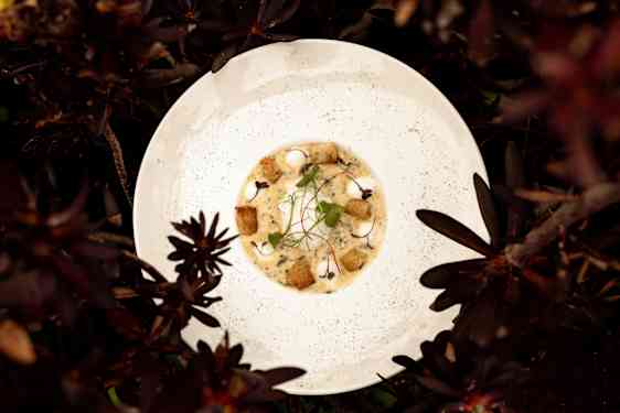 Maträtt sedd från ovan