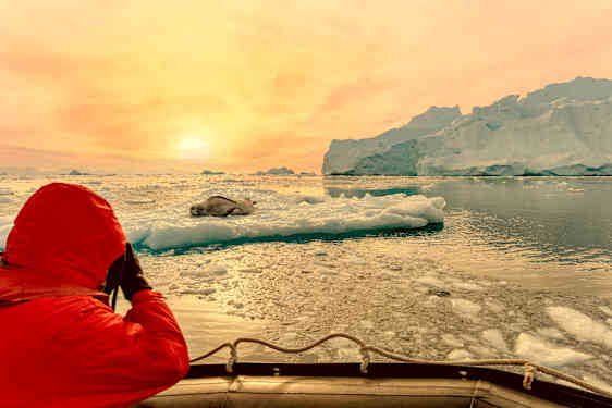 Expeditionskryssning i Antarktis