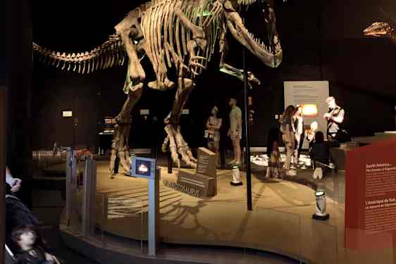 Vetenskapsmuseum i Miami