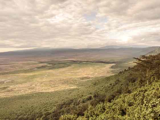 Game Drive i Ngorongorokratern