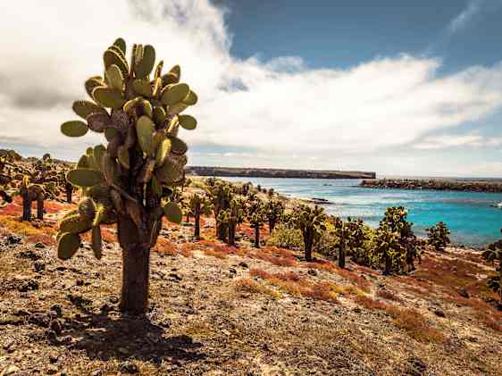 Galapagos