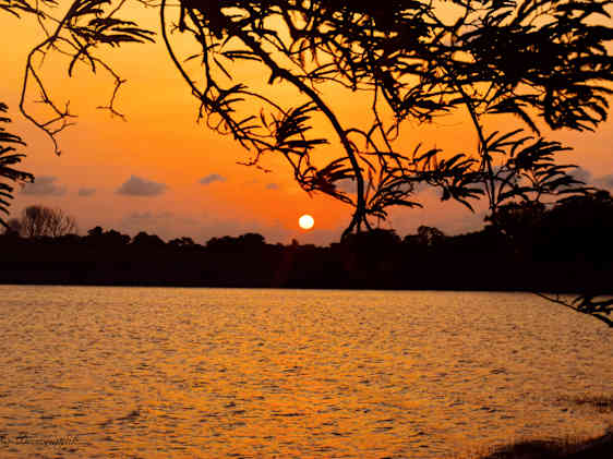 Vattenfall på Sri lanka