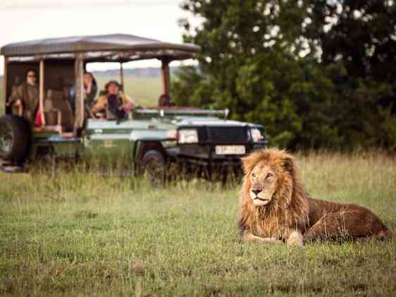 Game Drive