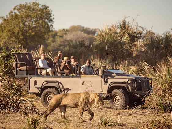 Bil safari