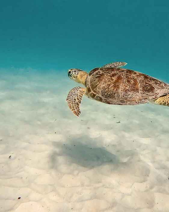Folkestone Marine Park