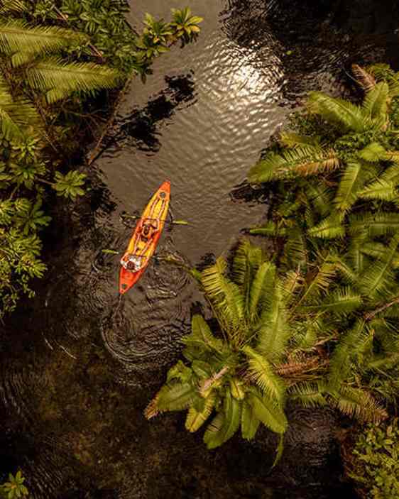 Kajak sedd från ovan