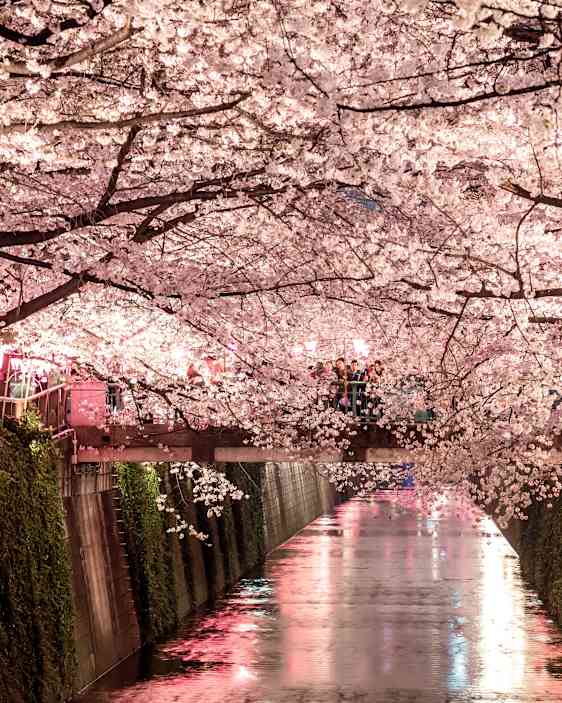Nakameguro i Tokyo