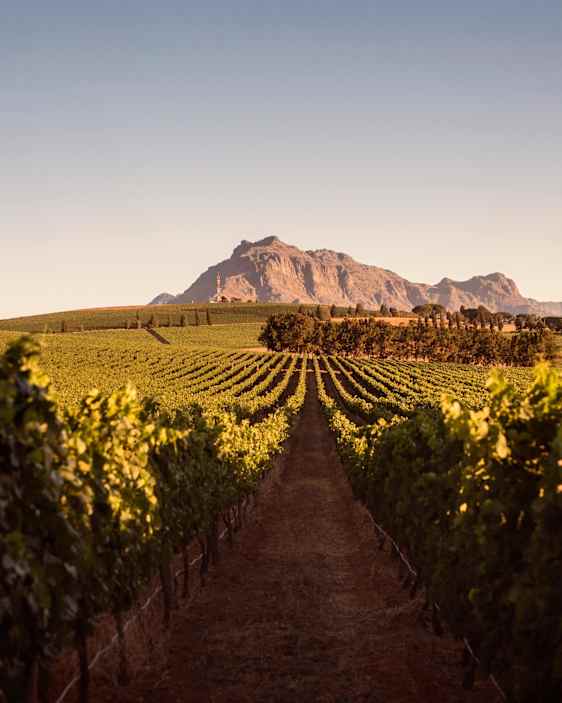 Landskap i Kapstaden