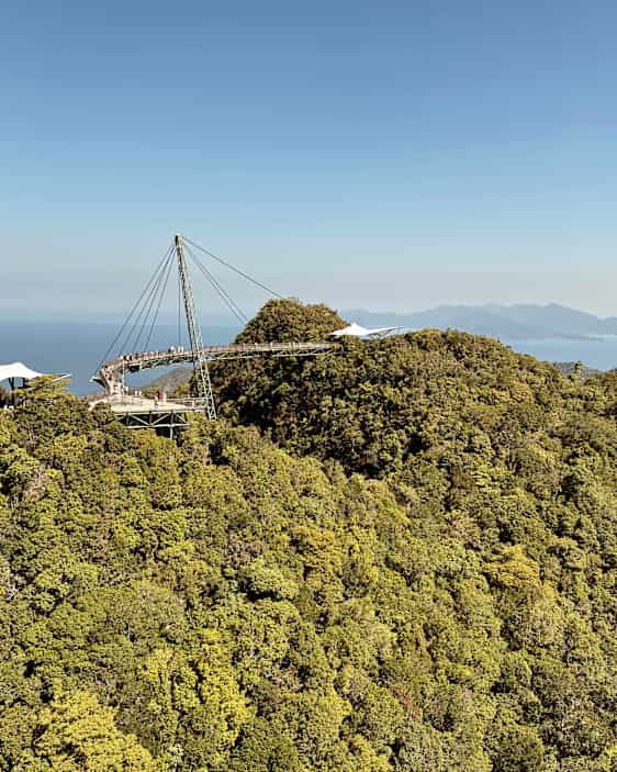 Tree top walk
