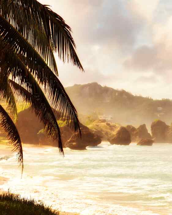 Bathsheba Beach