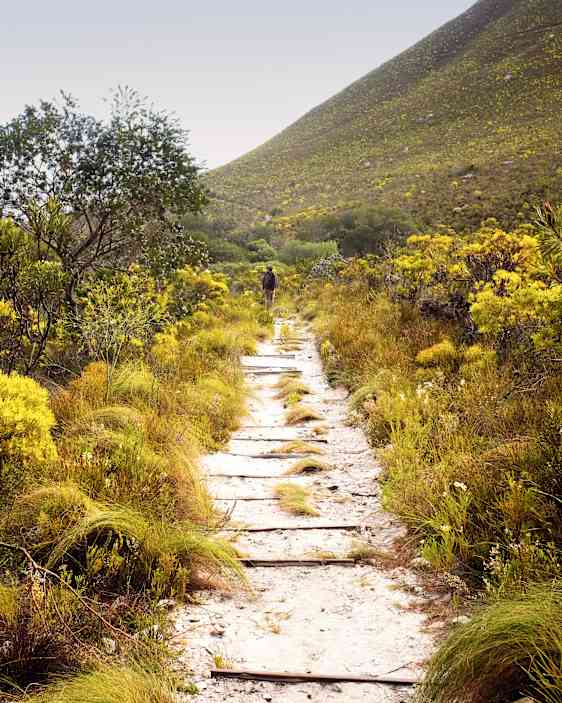 Naturreservatet Fernkloof