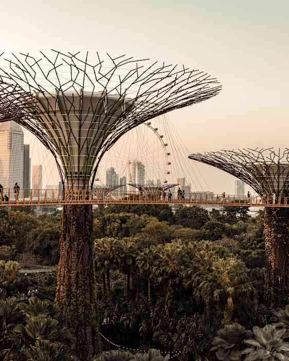 The green city singapore